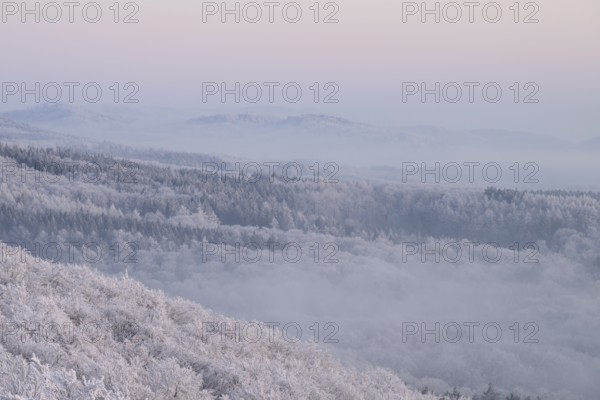 Snowy range of hills with frosty trees in the morning light, Hermannsweg an der Steinegge, Dissen am Teutoburger Wald, Lower Saxony, Germany