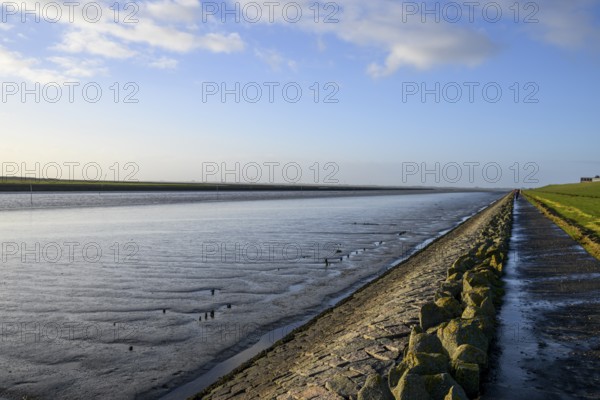 Wide view of quiet North Sea landscape with dike and water horizon, An extensive coastal landscape with dike and clear sky on the horizon, Husum, Schleswig-Holstein, Germany