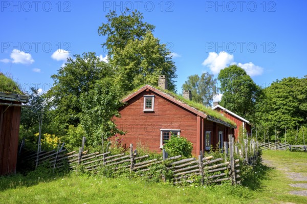 Red wooden house with grass-covered roof surrounded by trees and wooden fence under clear blue sky, family home of the famous botanist and taxonomist Carl von Linne with a rustic wooden fence under a blue sky, Linnes Rashult, Rashult, Diö, Kronobergs län, Sweden