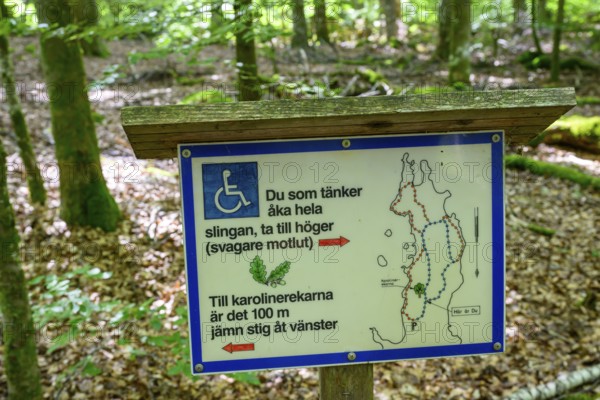 Information sign in the forest with reference to barrier-free hiking trails, Asnen NaaionalPark, Växjö, Kronobergs län, Sweden