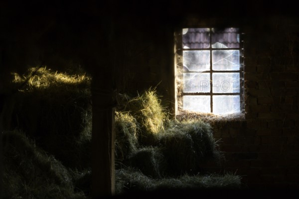 A hayloft with cobwebs in the window, illuminated by incoming sunlight in a dark environment, East Westphalia, North Rhine-Westphalia, Germany