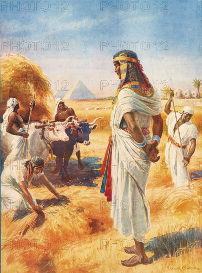 Scene from the biblical story, the rich harvest in Egypt, authentic reproduction of a school mural, historical, around 1900