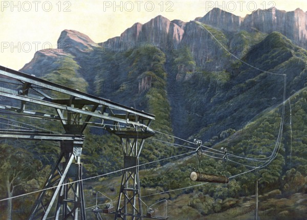 Cable car to transport timber in Cameroon, Africa, A cable car mechanism transports wood through a mountainous landscape, authentic reproduction of a school mural, historic, around 1900