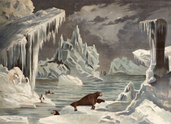 Polar landscape with icebergs and a seal, Arctic, North Pole, arctic scene with icebergs, walruses and a ship in the background, authentic reproduction of a school mural, historical, around 1900