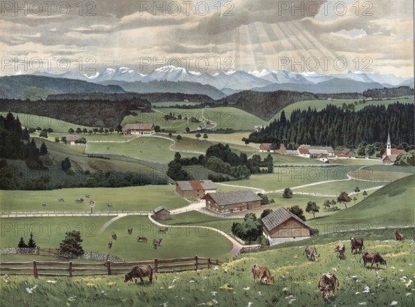 Allgäu landscape, the southern part of the Bavarian administrative district of Swabia, Bavaria, Germany, peaceful rural idyll with grazing cows against a mountainous backdrop and scattered farmhouses, authentic reproduction of a school wall painting, historic, around 1900