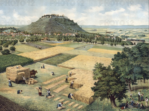 Grain harvest, Langes Feld with Asperg, town in Strohgäu at the foot of Hohenasperg mountain, Ludwigsburg district, Baden-Württemberg, Germany, rural harvest scene with workers in fields. A village lies in front of a wooded hill, authentic reproduction of a school mural, historic, around 1900