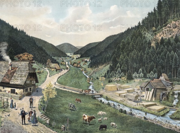 Valley in the Black Forest, Baden-Württemberg, Germany, rural scene in a valley with a flowing river, cows and scattered farmhouses, authentic reproduction of a school mural, historic, around 1900