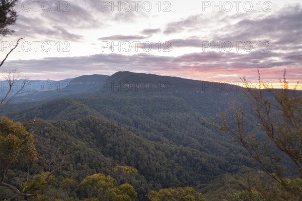 Sun set colors illuminating the sky above a vast sub tropical rain forest Gondwana, viewed from the Mount Cougal summit with a wide natural perspective toward Lamington National Park, Mount Cougal, Queensland, Australia