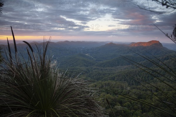 Tropical rain forest Gondwana, captured from the Mount Cougal summit while looking toward the Gold Coast, Mount Cougal, Queensland, Australia