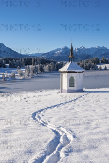 A small chapel in a snowy landscape with mountains in the background and a clear blue sky, Hegratsrieder See, near Füssen, Ostallgäu, Allgäu, Bavaria, Germany