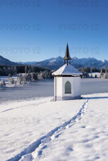 Snowy chapel against a mountain backdrop under clear blue sky with traces in the snow, Hegratsrieder See, near Füssen, Ostallgäu, Allgäu, Bavaria, Germany