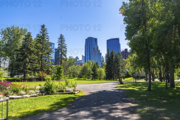 Lush green trees and flowerbeds in central memorial park provide a vibrant foreground to the modern cityscape of calgary, alberta, on a bright summer day, creating a tranquil urban oasis