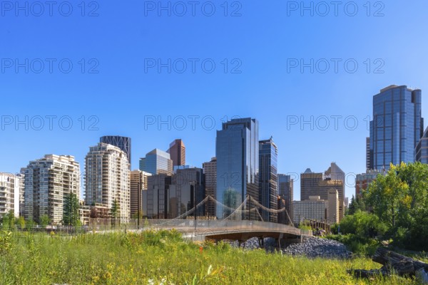 Modern skyscrapers of calgary's downtown core rise above a vibrant green park with a pedestrian bridge, creating a picturesque urban landscape under a clear blue sky