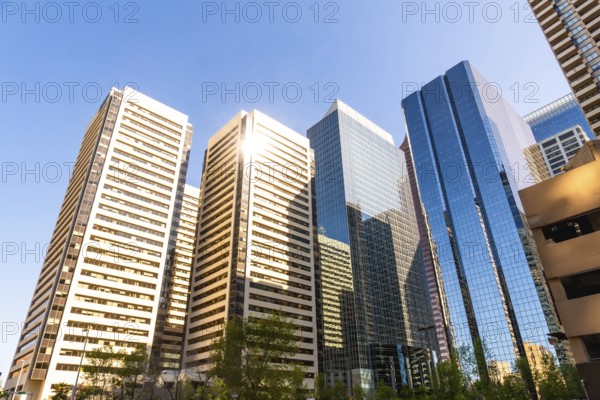 Sunlight illuminates the impressive skyscrapers of calgary's downtown core, showcasing the city's modern architecture and bustling urban landscape against a clear blue sky