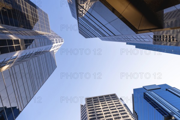Low angle view of modern skyscrapers in calgary, alberta, canada, showcasing their impressive height against a clear blue sky, creating a powerful symbol of urban growth and architectural prowess