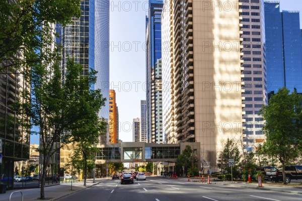 Cars are driving on a street lined with modern skyscrapers and lush green trees in downtown calgary, alberta, showcasing the city's vibrant urban landscape