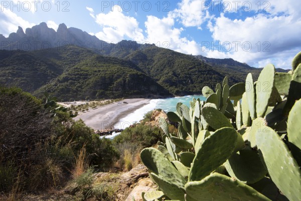 View of the pebble beach and Porto Bay, a UNESCO World Heritage Site, Ota, west coast of Corsica, Corse-du-Sud, Corsica, France