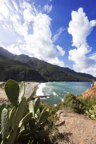 View of the pebble beach and Porto Bay, a UNESCO World Heritage Site, Ota, west coast of Corsica, Corse-du-Sud, Corsica, France