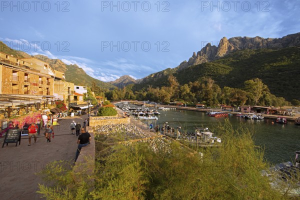 Boats in Port de Porto or Port on the Porto River, Capu d'Orto Mountains in the back, afternoon atmosphere, Porto, Ota, west coast of Corsica, Corse-du-Sud, Corsica, France