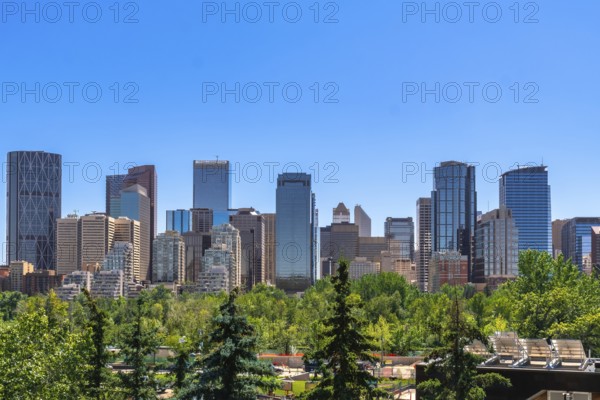 Modern skyscrapers rise above a foreground of lush green trees in calgary, alberta, canada, creating a vibrant cityscape against a clear blue sky