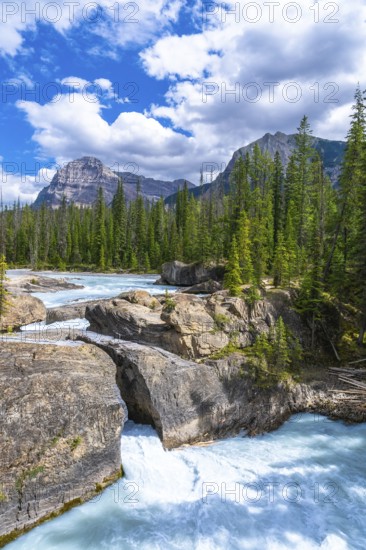 Turquoise water flows under natural bridge rock formation on bow river with evergreen trees, mountains and cloudy sky in banff national park, canadian rockies, alberta, canada