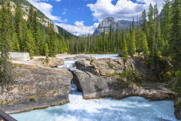 Turquoise water of bow river flowing underneath the natural bridge rock formation on a sunny summer day with evergreen trees and canadian rockies in banff national park, alberta, canada