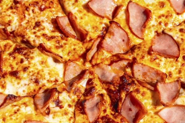 Slices of savory ham resting on a freshly baked pizza highlight a cheesy delight, embodying a beloved canadian fast food staple enjoyed during meals and celebrations