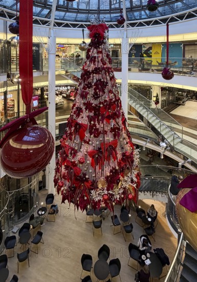 Schadow arcades, elegant shopping center with Christmas decorations and a large Christmas tree spread over several floors, Düsseldorf, Germany