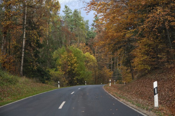 Herbstwald an der Bundestraße 2, Gräfenberg, Upper Franconia, Bavaria, Germany