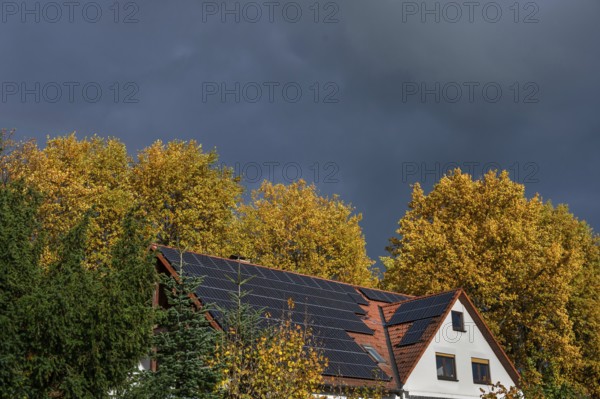 Stormy atmosphere with autumn trees and house with photovoltaic on the roof, Eckental, Middle Franconia, Bavaria, Germany