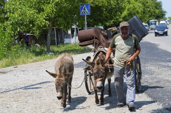A man leads two donkeys pulling a cart along a rural road, Badiauri, Kakheti region, Georgia
