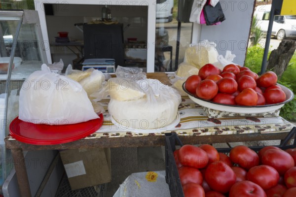 A market stall with tomatoes and cheese, fresh and on plates and wrapped in plastic, selling cheese and tomatoes, Badiauri, Kakheti region, Georgia
