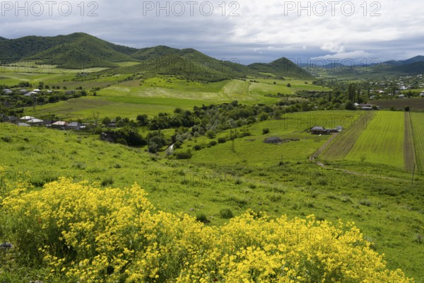 Green hills and fields with yellow flowers and mountains in the background under cloudy sky, view from Kveshi fortress, Bolnisi, Lower Kartli region, Georgia