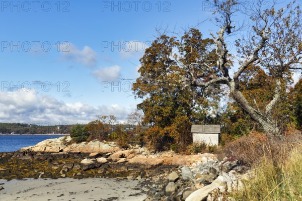 Shoreline, Indian Summer, Gloucester, Cape Ann, Massachusetts, New England, USA