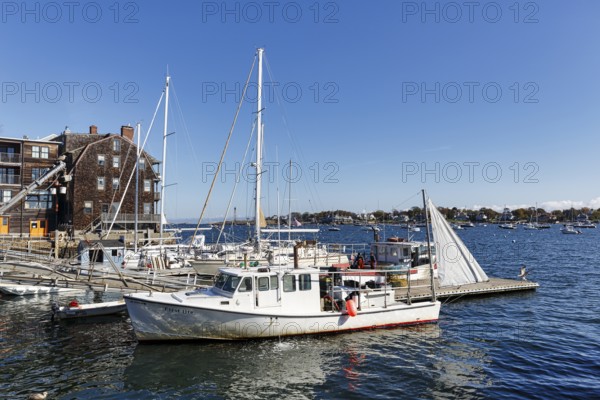 Scenic backdrop, sailboats and historic buildings with shingle façade in harbor, Rockport, Cape Ann, Massachussets, New England, USA