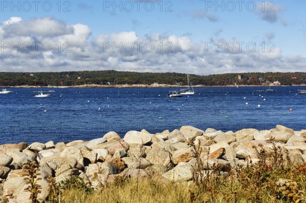 Shoreline, sailboats in harbor, Gloucester, Cape Ann, Massachusetts, New England, USA
