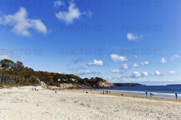 Sandy beach beach, Cumulus, strollers with dogs in autumn, Singing Beach, Manchester-by-the-Sea, Cape Ann, Massachusetts, New England, USA