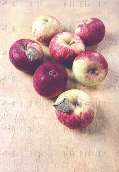 Apples scattered on the table, selective focus, yellow - red, summer variety, early, no people