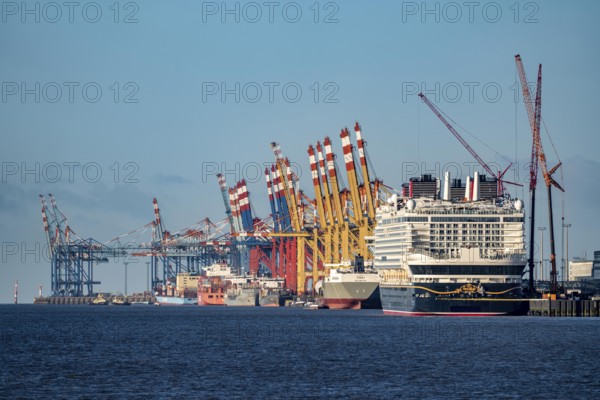 Disney Adventure cruise ship at Bremerhaven Cruise Port, MSC and Eurogate container terminal at Bremerhaven seaport, Eurogate container terminal with almost 50 container bridges, cranes, over a length of over 4 km at the mouth of the Weser, Bremerhaven, Bremen, Germany