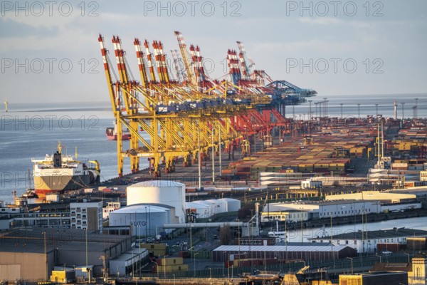 MSC and Eurogate container terminal in the seaport of Bremerhaven, Eurogate container terminal with almost 50 container bridges, cranes, over a length of over 4 km at the mouth of the Weser, Bremerhaven, Bremen, Germany