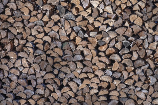 Stacked firewood, Franconia, Bavaria, Germany