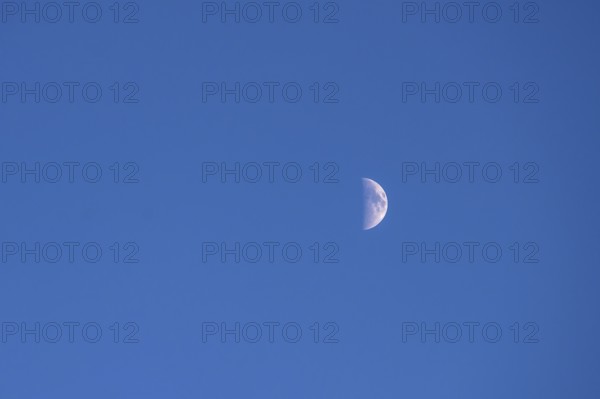 Half moon in early, blue evening sky, Bavaria, Germany