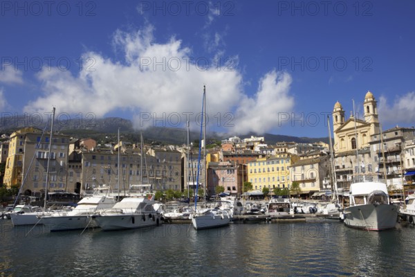 Old port with marina and church of Saint Jean-Baptiste à Bastia or church of St. John the Baptist, Port de Plaisance or Vieux Port, old town, Bastia, Haute-Corse department, Corsica, France