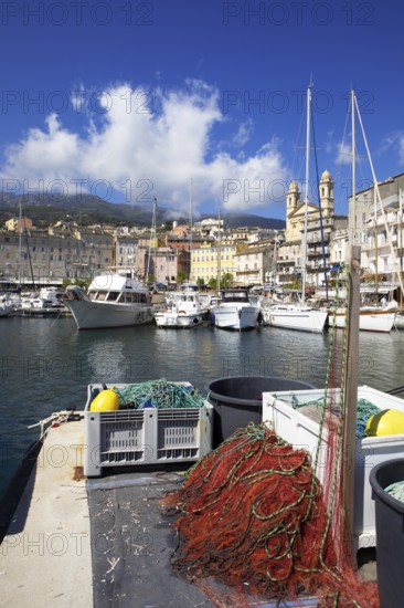 Old port with marina and church of Saint Jean-Baptiste à Bastia or church of St. John the Baptist, Port de Plaisance or Vieux Port, old town, Bastia, Haute-Corse department, Corsica, France