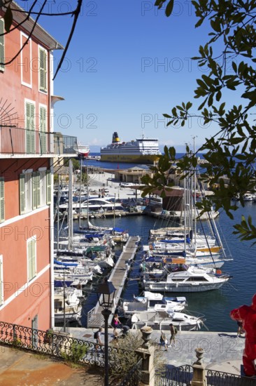View from Jardin Romieu of the old port and ferry, Port de Plaisance or Vieux Port, old town, Bastia, Haute-Corse department, Corsica, France