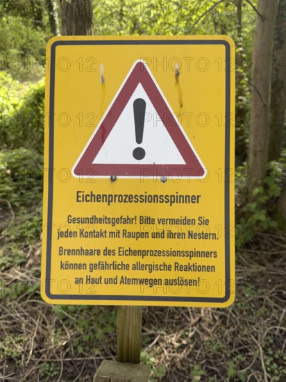 Warning sign Warning of dangerous caterpillar species Caterpillar oak processionary moth Oak processionary moth (Thaumetopoea processionea), Germany