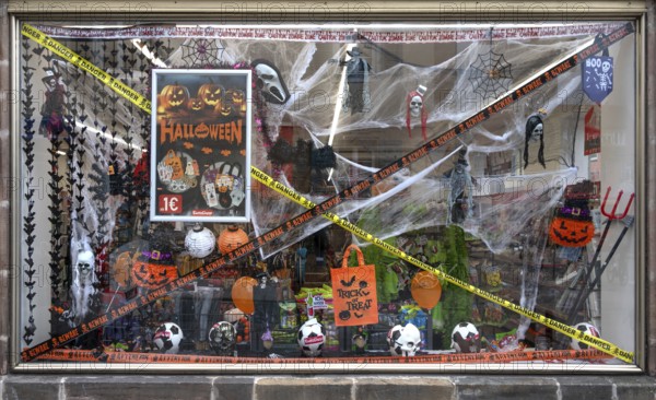 Halloween shop window decorated, Erlangen, Middle Franconia, Bavaria, Germany