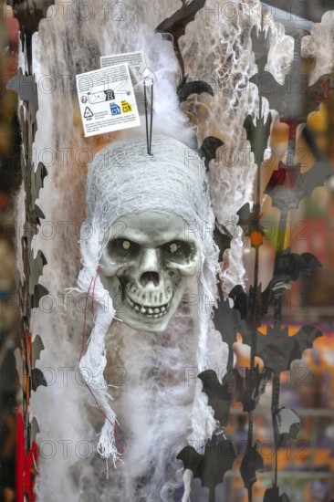 Skull as decoration for Halloween, Erlangen, Middle Franconia, Bavaria, Germany