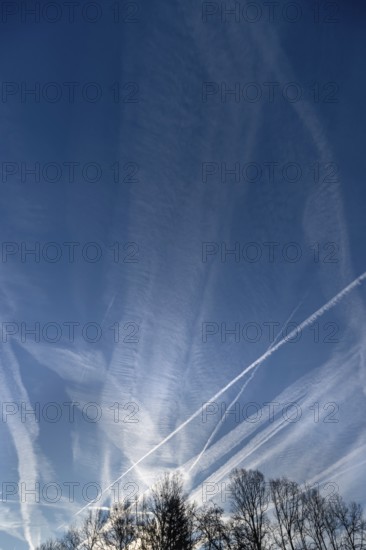 Morning sky with contrails, tree silhouettes below, Eckental, Middle Franconia, Bavaria, Germany