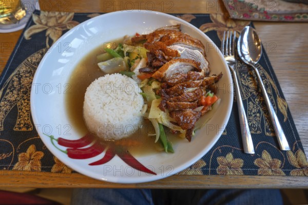 Duck breast with rice and vegetables in a Thai restaurant, Franconia, Bavaria, Germany
